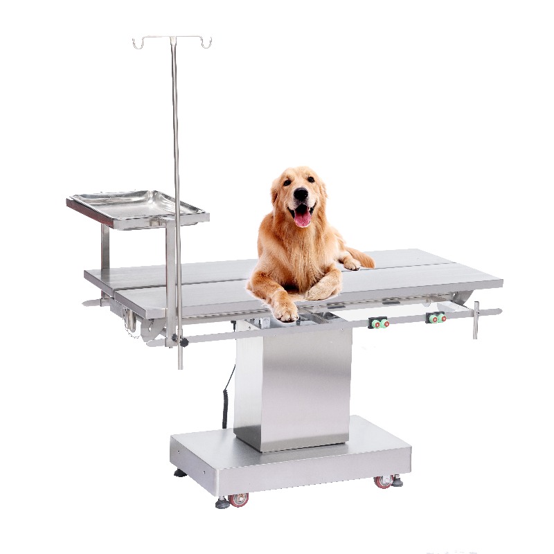 Pet Supplies Vet Clinic - Table d'examen vétérinaire 2026, clinique vétérinaire,