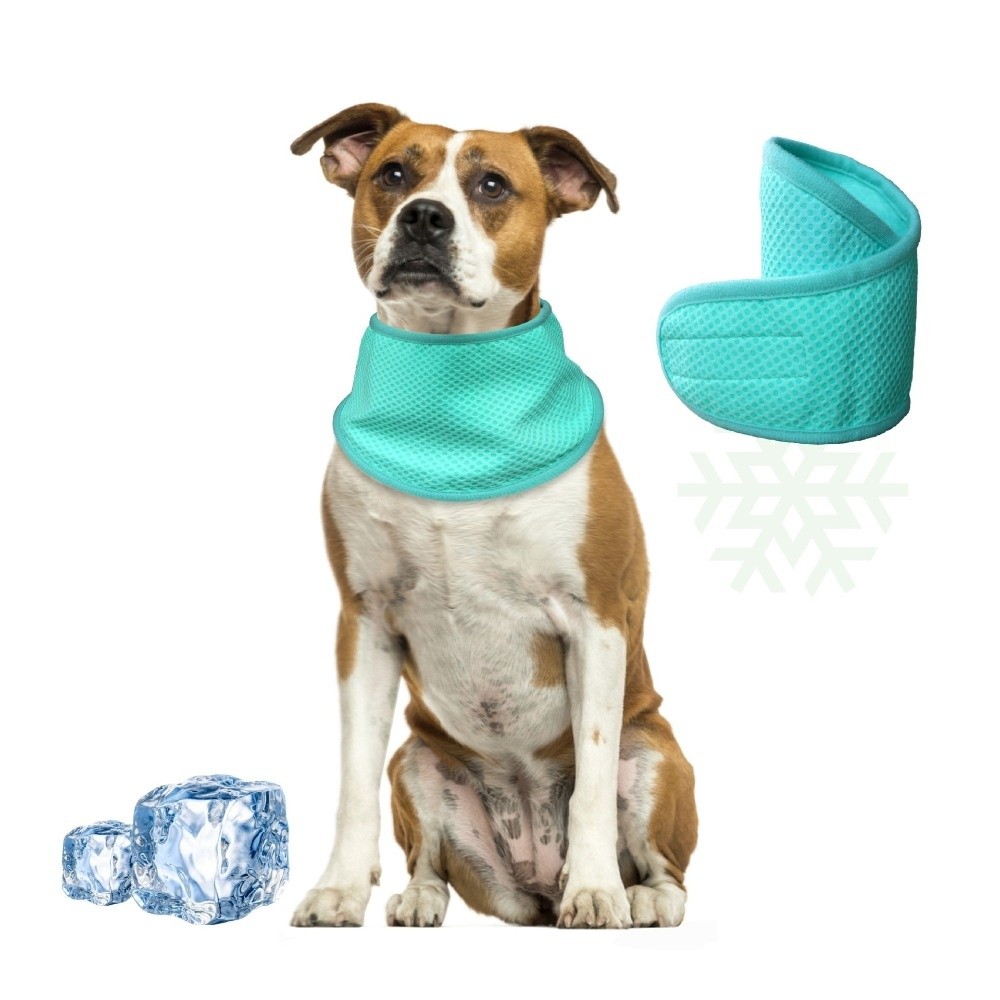 Dog Bandana Scarf - Nouveau Bandana Rafraîchissant Réglable pour Chien,