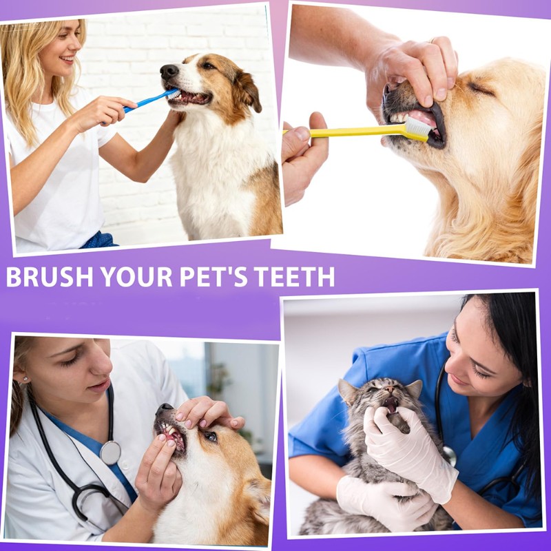 Dog Paw Cleaner - AB66-outil d'hygiène buccale pour chien-brosse à