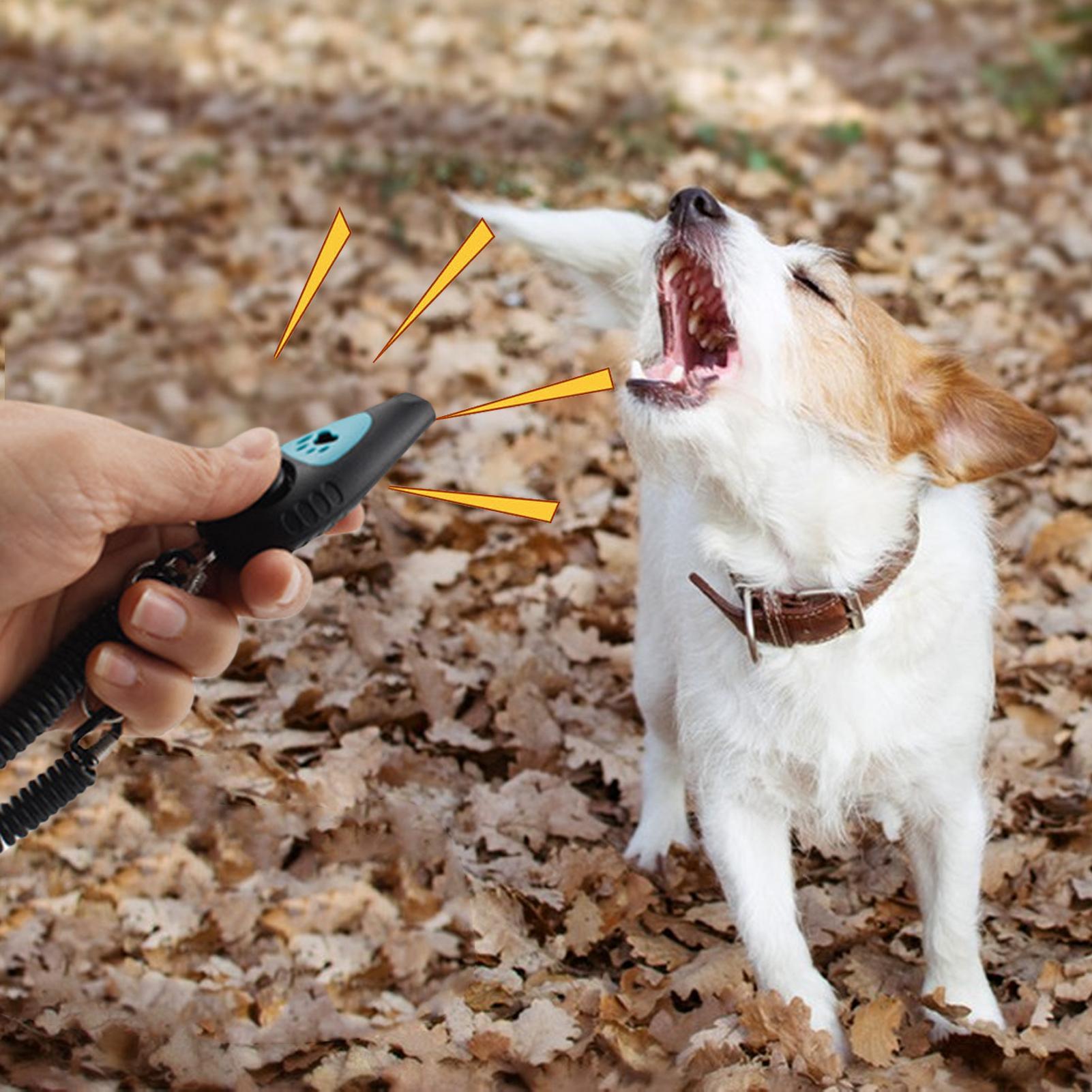 Clicker d'entraînement pour ch - Training Clicker Dog avis et prix