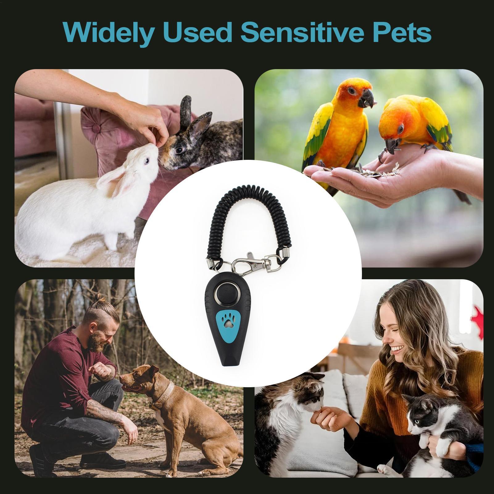 Clicker d'entraînement pour ch - Training Clicker Dog avis et prix