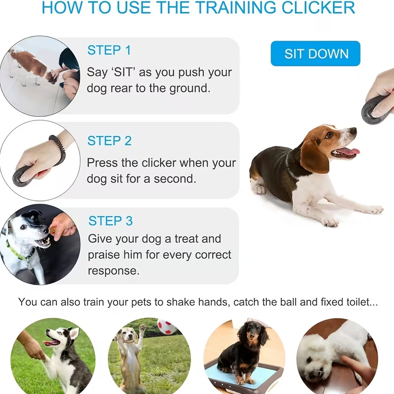 Cliqueur d'entraînement pour c - Training Clicker Dog avis et prix