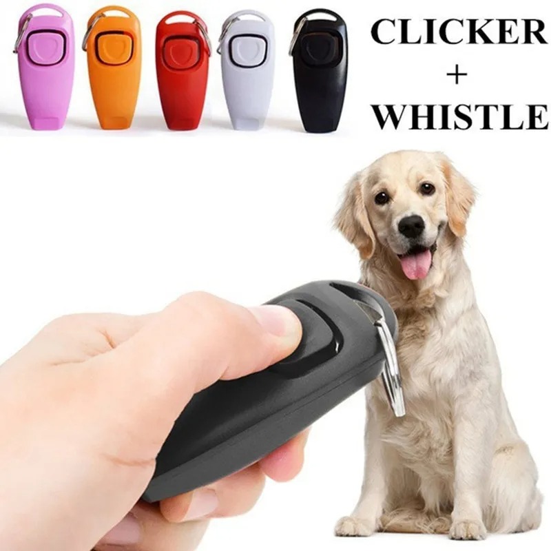 Cliqueur d'entraînement pour a - Training Clicker Dog avis et prix