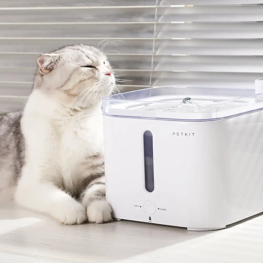 CANBOUN EVERSWEET – fontaine d - Automatic Pet Feeder avis et prix