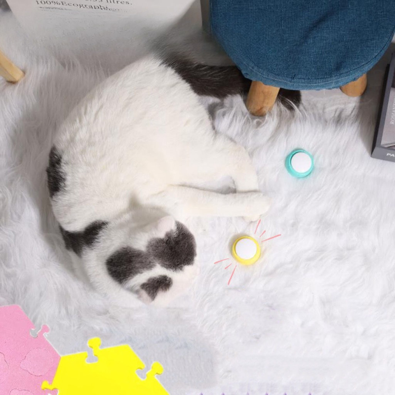 Tapis de boutons de Communicat - Training Clicker Dog avis et prix