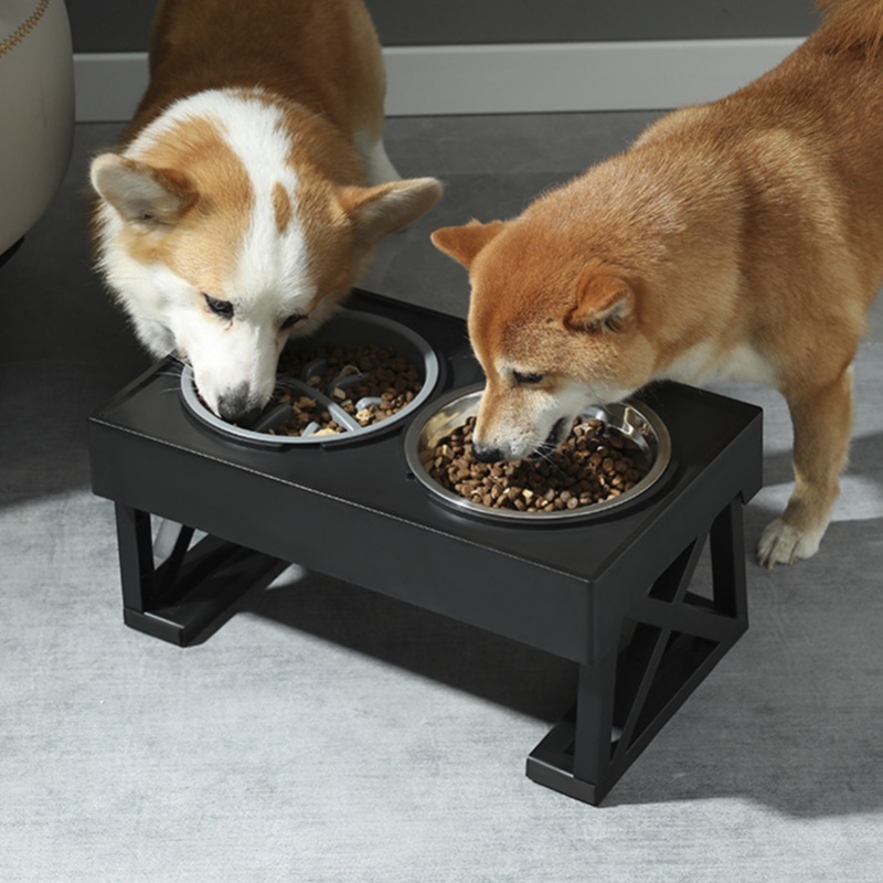 Bol pour chien à mangeoire len - Slow Feeder Dog Bowl avis et prix