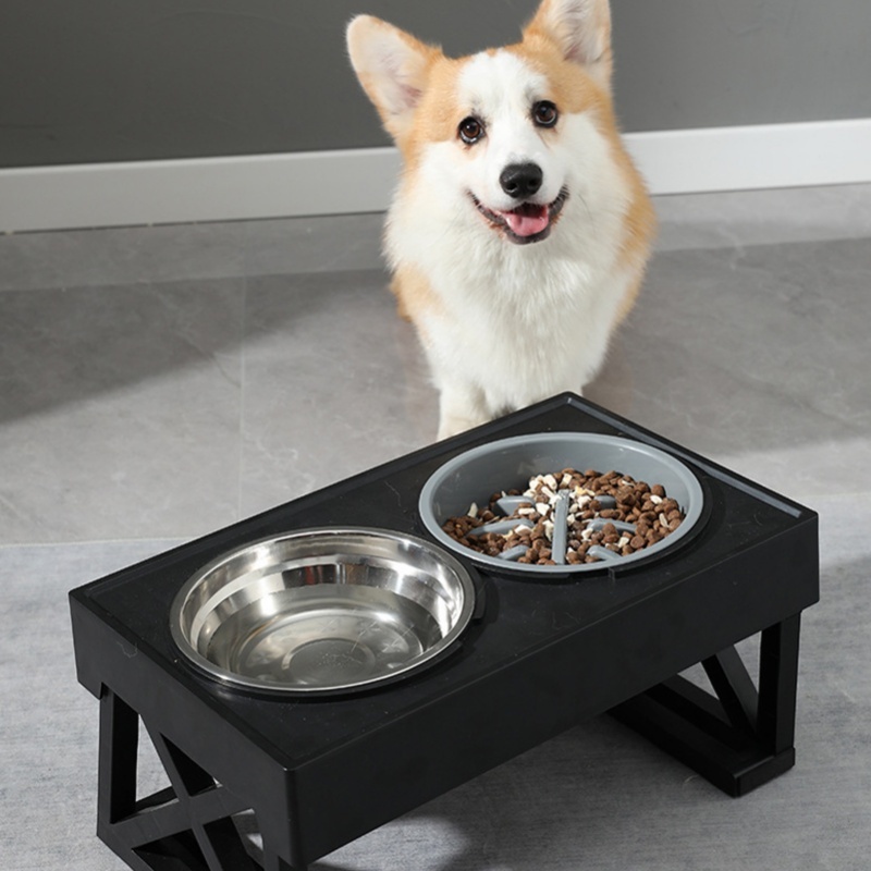 Bol pour chien à mangeoire len - Slow Feeder Dog Bowl avis et prix