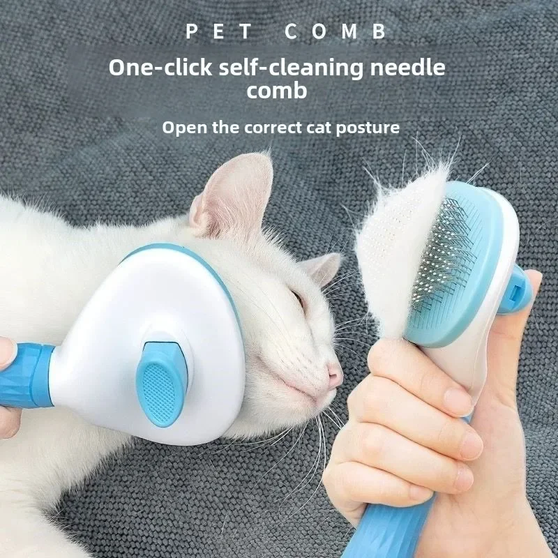 Accessoires pour chats, équipe - Pet Supplies Application avis et prix