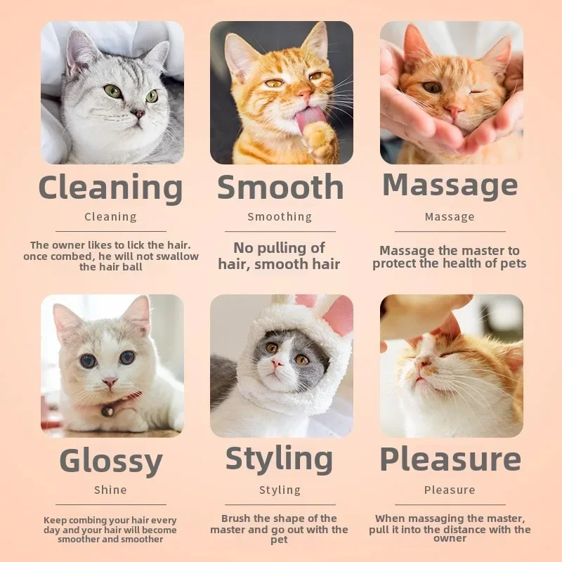 Accessoires pour chats, équipe - Pet Supplies Application avis et prix