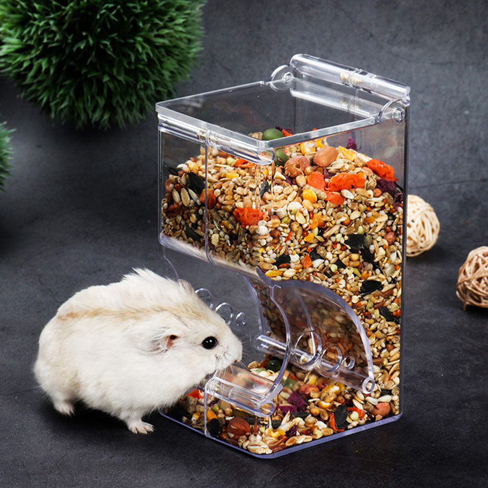    2-1 pièces mignon Hamster  - Automatic Pet Feeder avis et prix