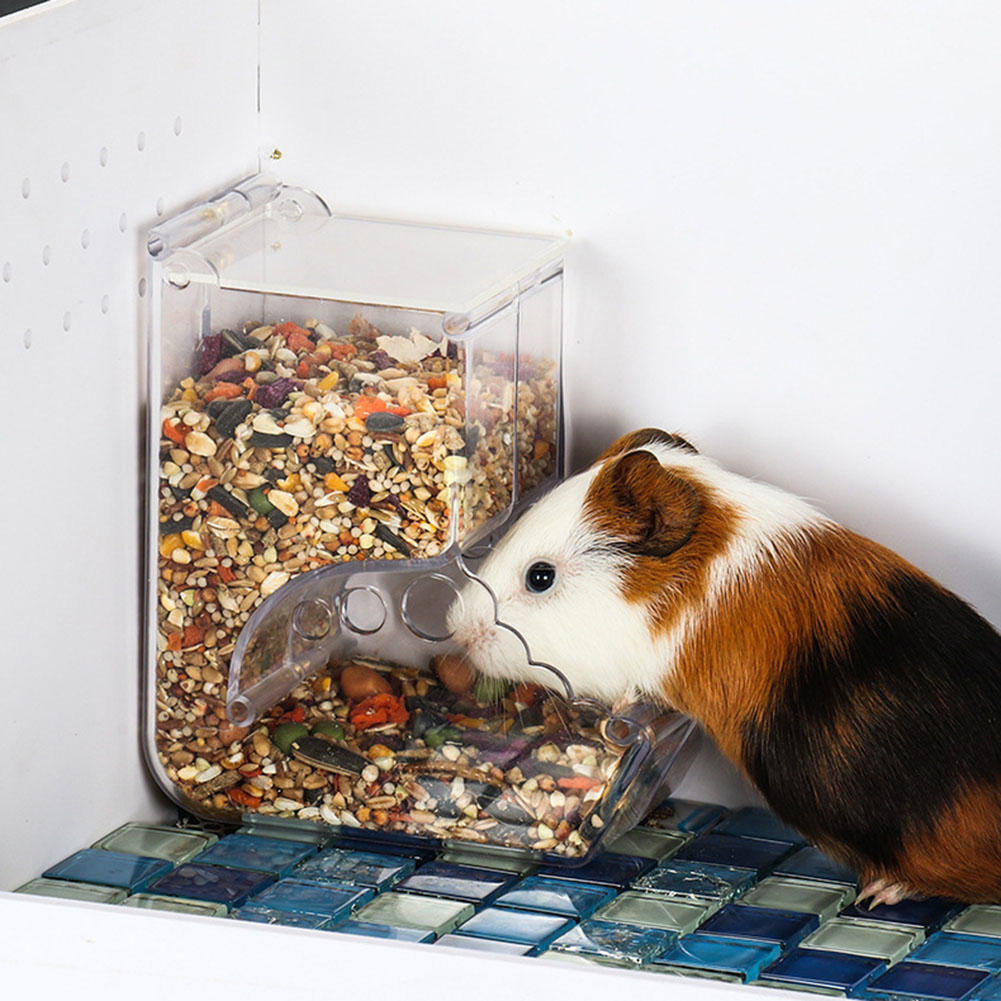    2-1 pièces mignon Hamster  - Automatic Pet Feeder avis et prix