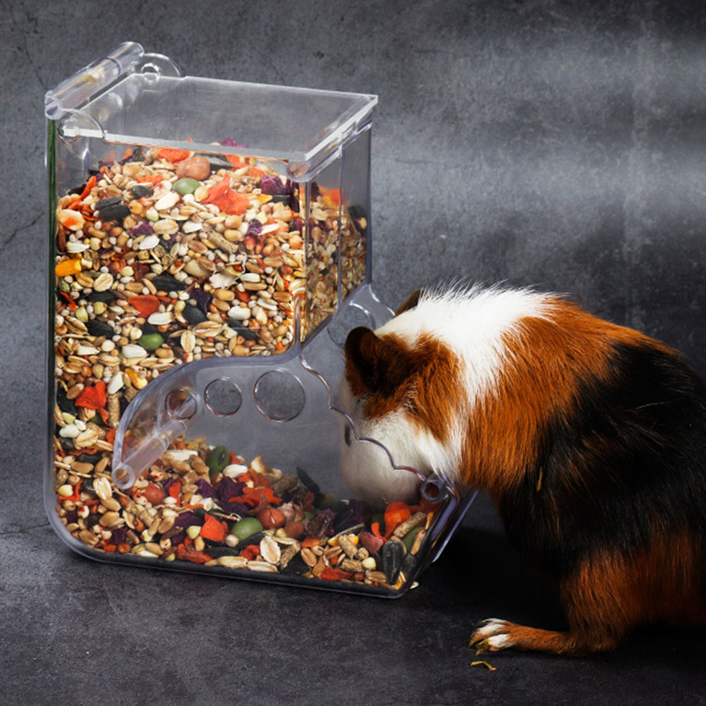    2-1 pièces mignon Hamster  - Automatic Pet Feeder avis et prix