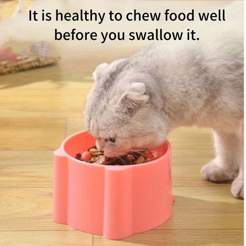 Gamelle pour chat, gamelle à r - Slow Feeder Dog Bowl avis et prix