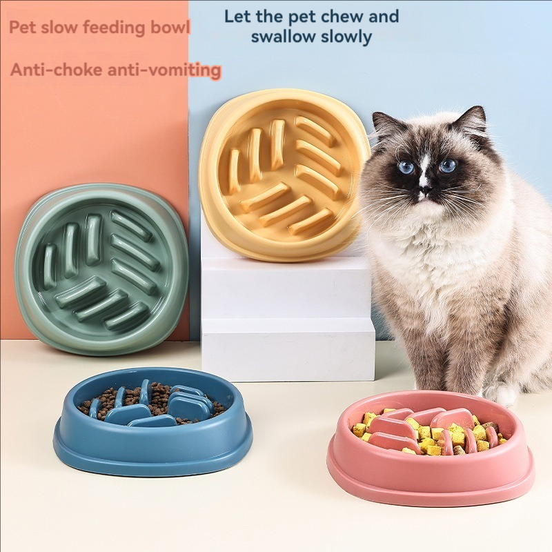 Fournitures pour animaux de co - Slow Feeder Dog Bowl avis et prix