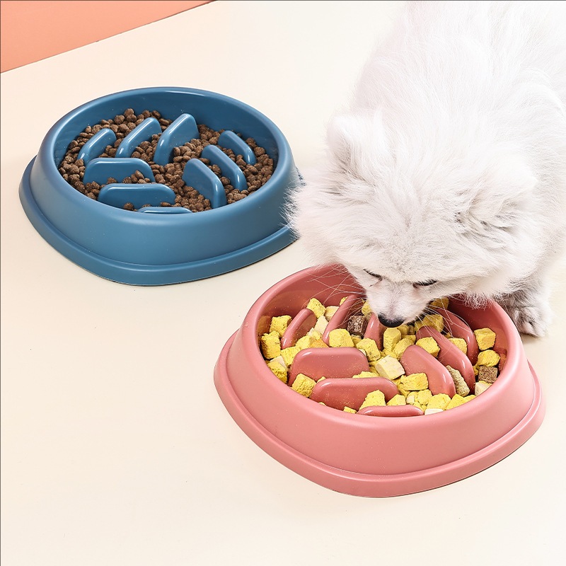 Fournitures pour animaux de co - Slow Feeder Dog Bowl avis et prix
