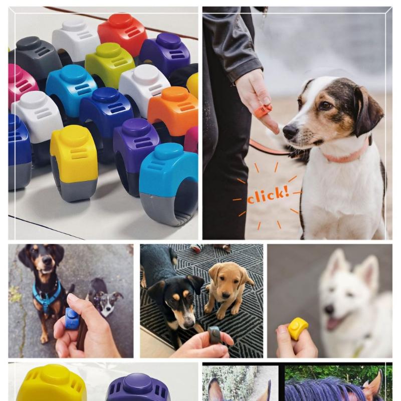 Nouveau Clicker d'Entraînement - Training Clicker Dog avis et prix