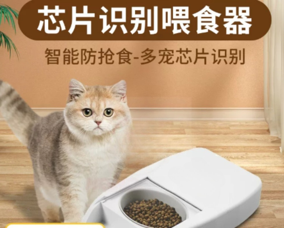Distributeur automatique intel - Automatic Pet Feeder avis et prix