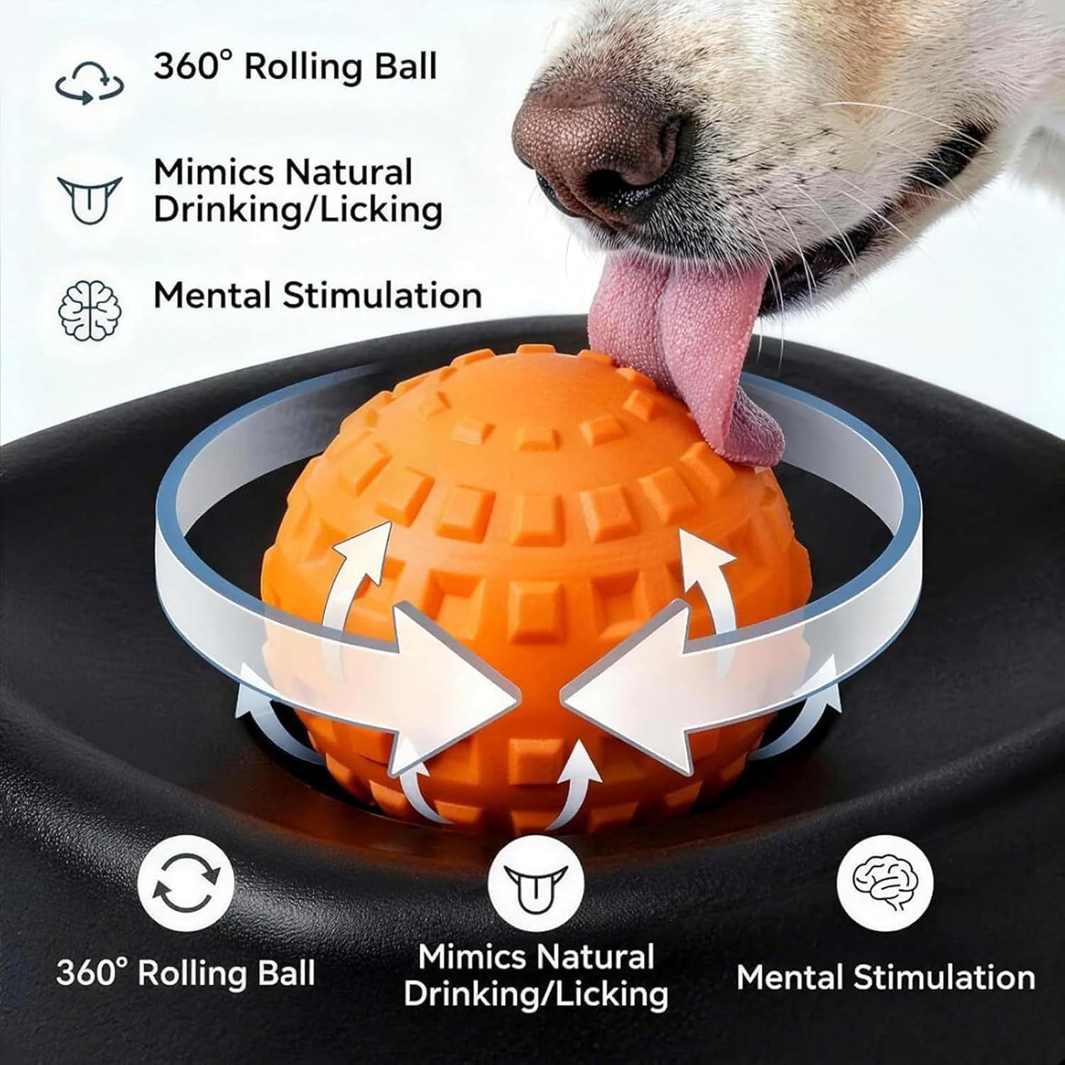 Bol à lécher pour chien avec b - Slow Feeder Dog Bowl avis et prix