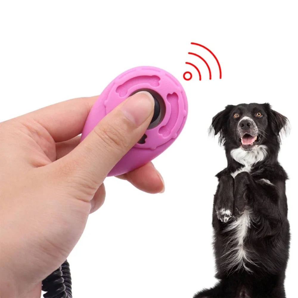Cliqueur d'entraînement pour c - Training Clicker Dog avis et prix