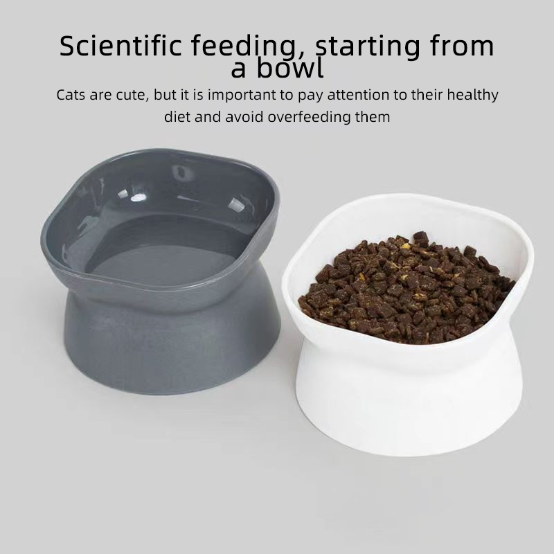Bol de nourriture pour chat/ch - Slow Feeder Dog Bowl avis et prix