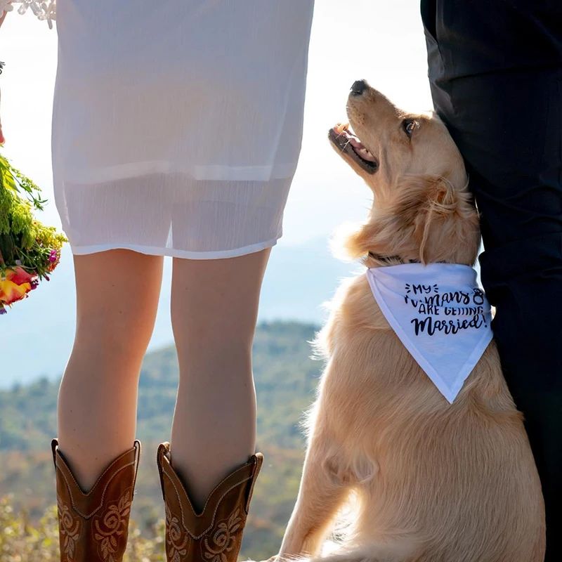 Mon chien humain se marie, fou - Dog Bandana Scarf avis et prix