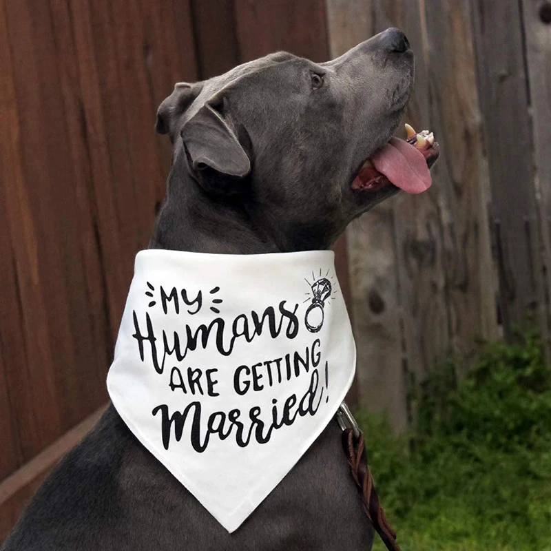 Mon chien humain se marie, fou - Dog Bandana Scarf avis et prix
