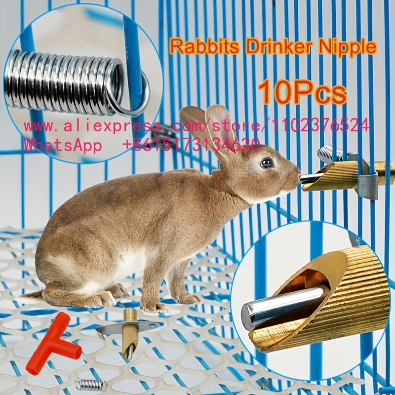 10 Pièces Tétines d'abreuvemen - Automatic Pet Feeder avis et prix