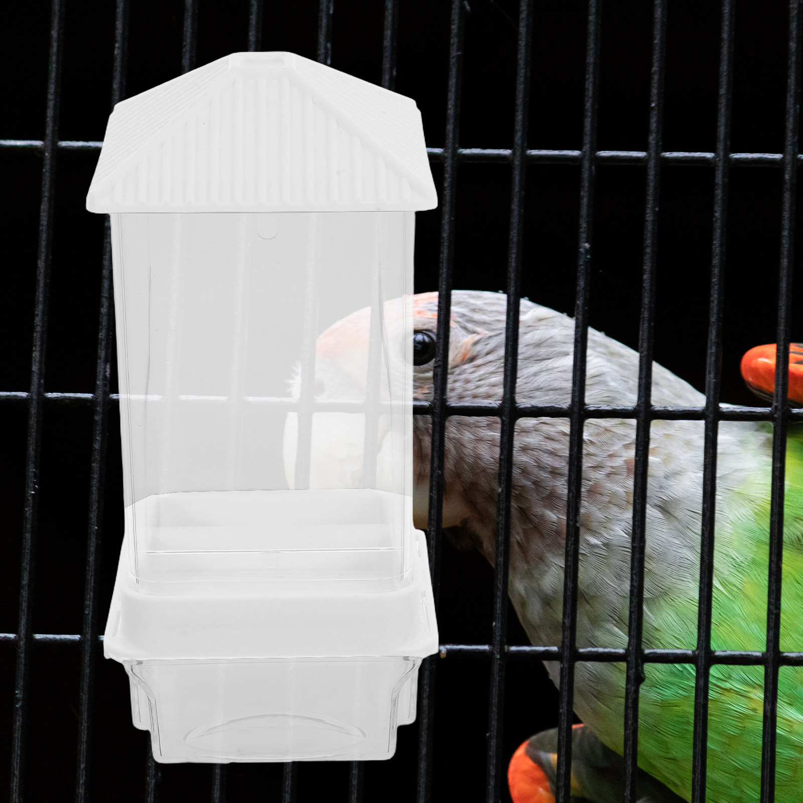Mangeoire automatique pour ois - Automatic Pet Feeder avis et prix