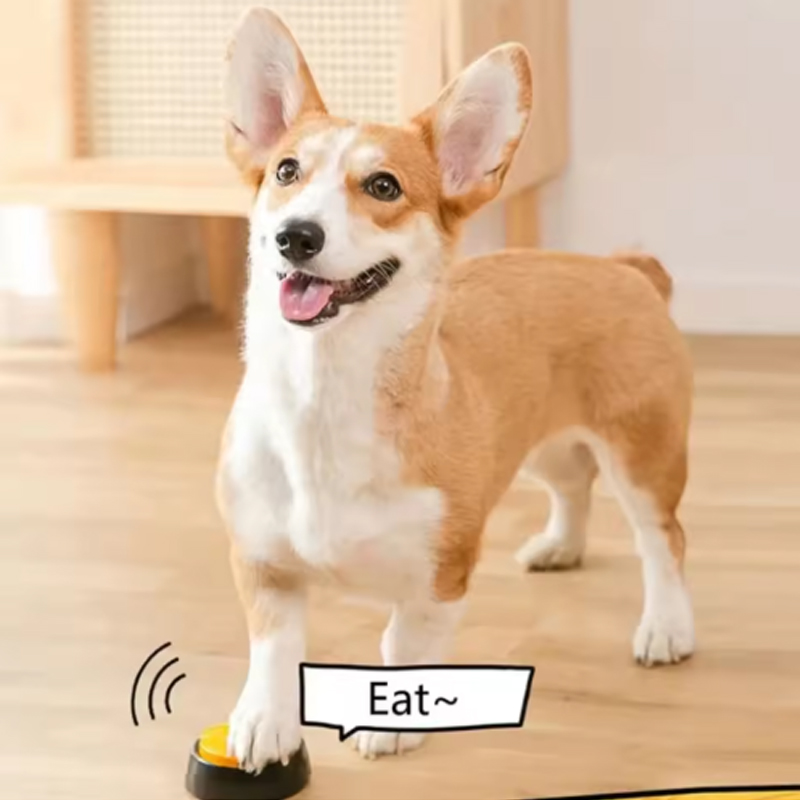 Boutons de Communication pour  - Training Clicker Dog avis et prix
