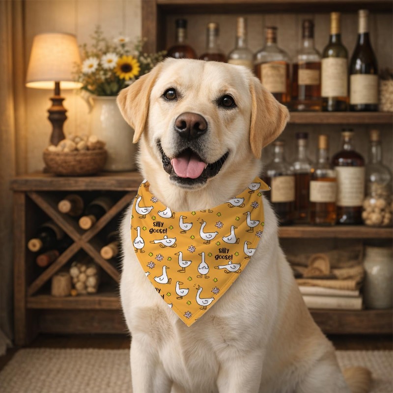 Bandana pour chien avec un mot - Dog Bandana Scarf avis et prix