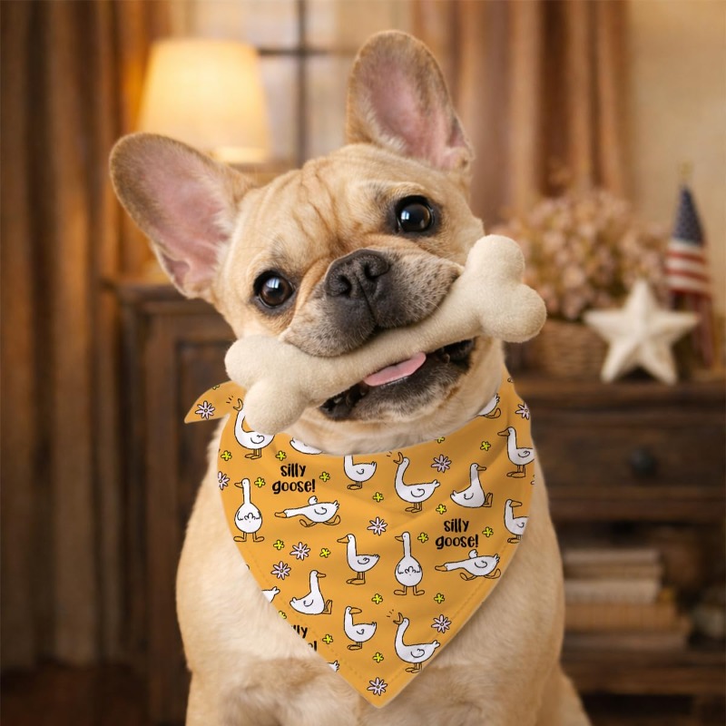 Bandana pour chien avec un mot - Dog Bandana Scarf avis et prix