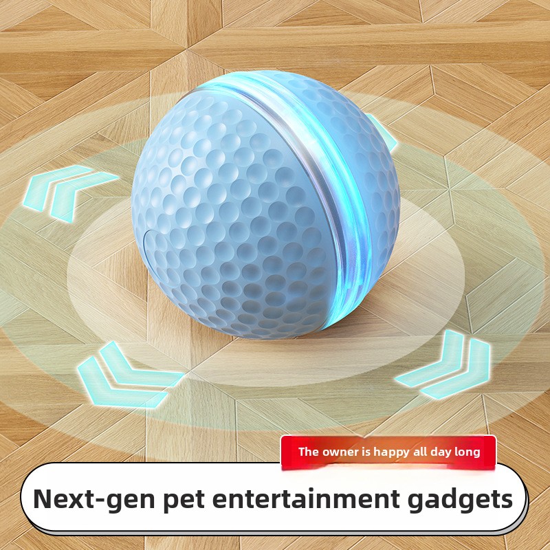 Balle électrique pour chien en - Training Clicker Dog avis et prix