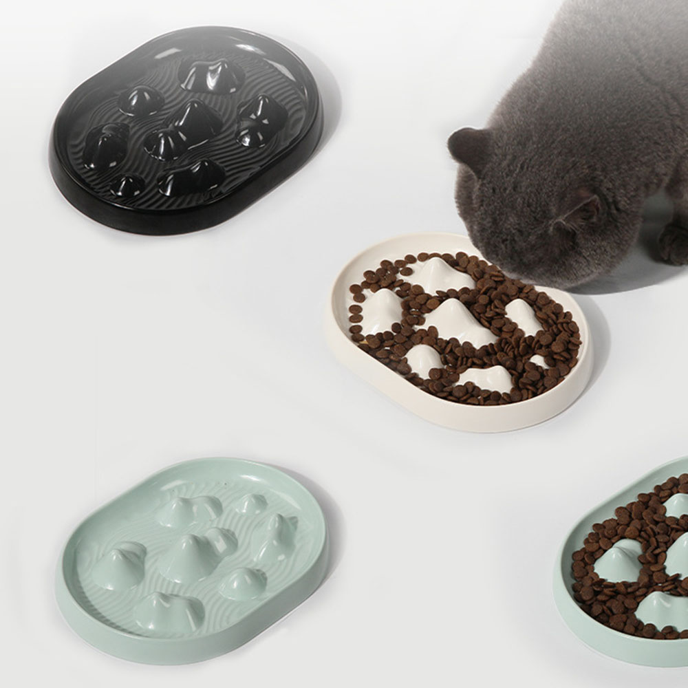 Bol d'alimentation lente pour  - Slow Feeder Dog Bowl avis et prix