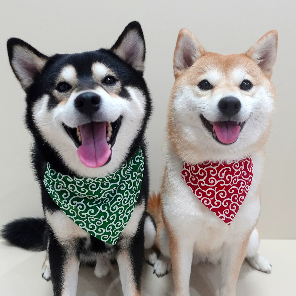 Accessoires pour chiens nouvea - Dog Bandana Scarf avis et prix