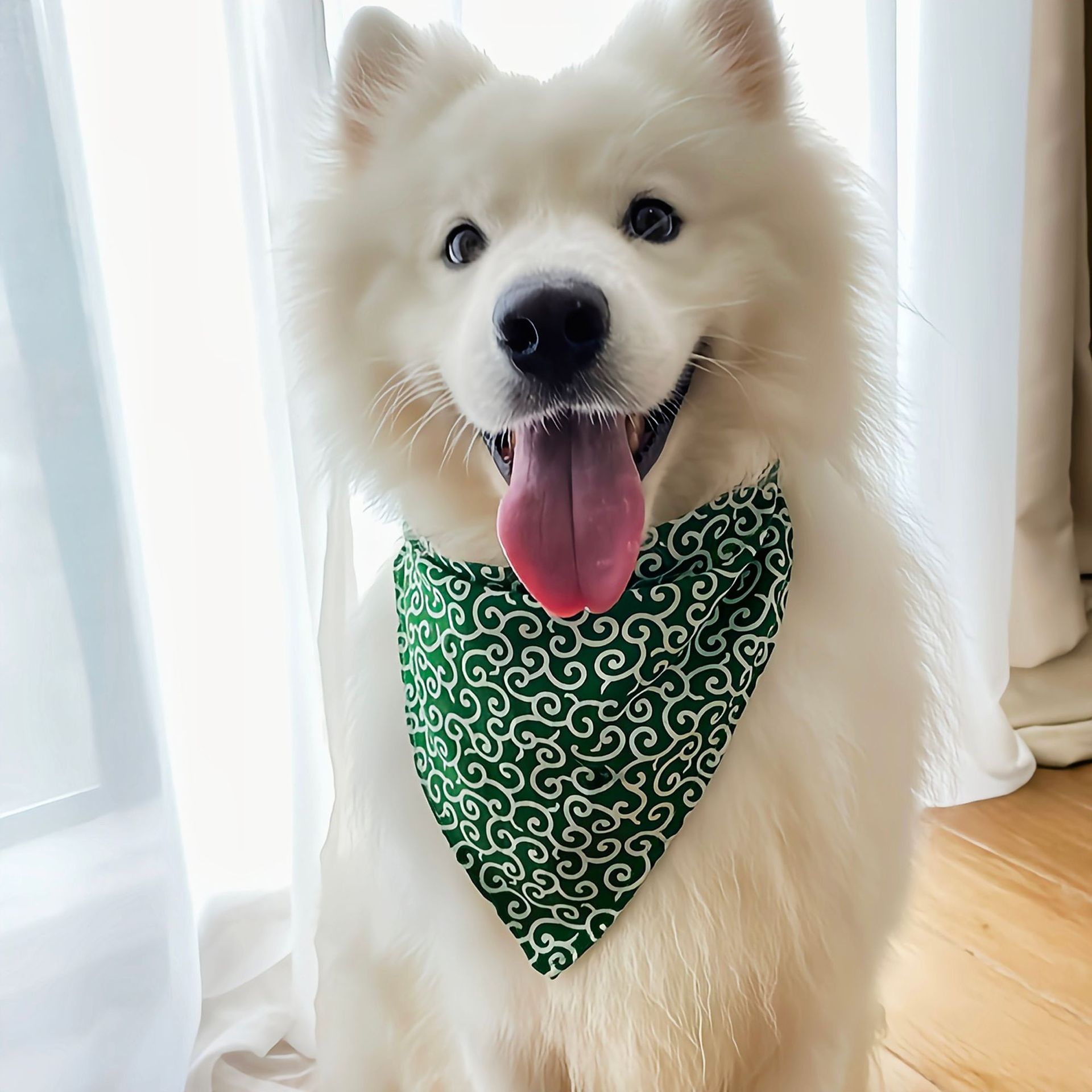 Accessoires pour chiens nouvea - Dog Bandana Scarf avis et prix