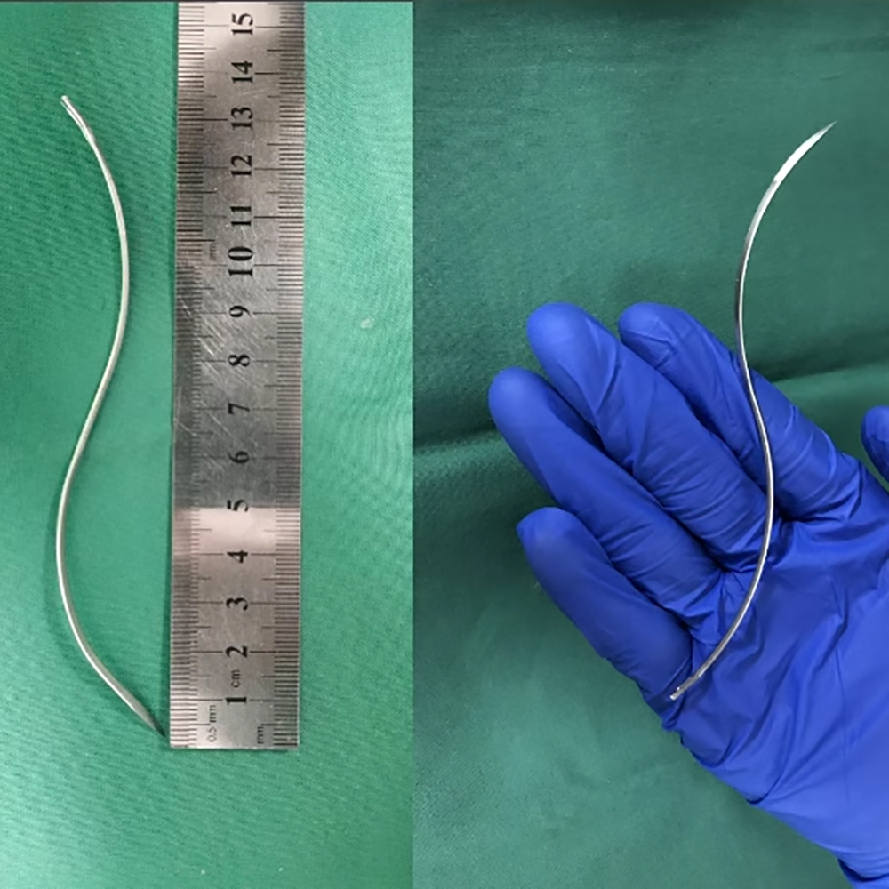 Aiguilles de suture en forme d - Pet Supplies Vet Clinic avis et prix