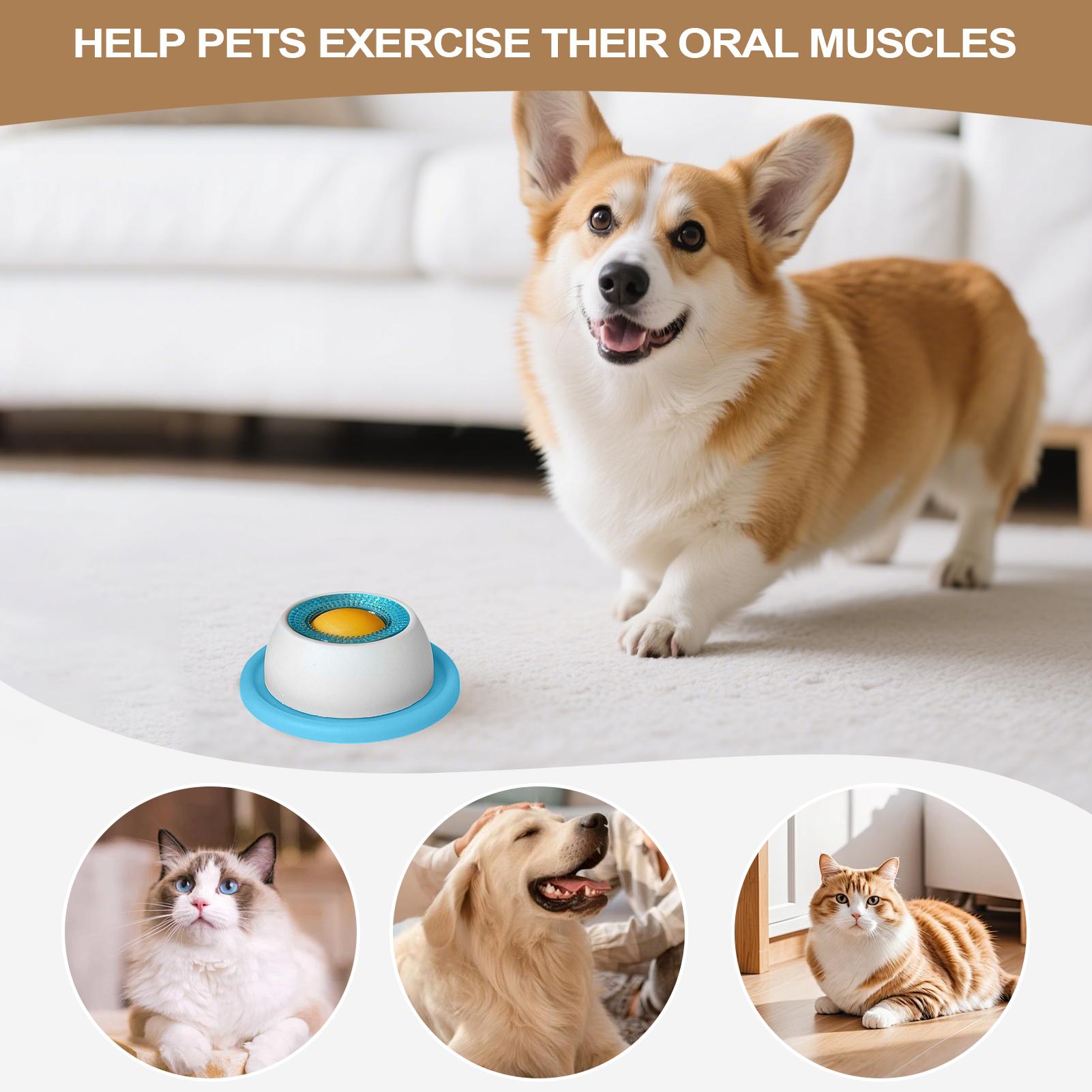 Accessoires d'alimentation pou - Slow Feeder Dog Bowl avis et prix