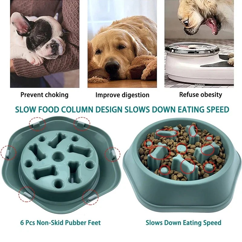 1 pièce Gamelle anti-étouffeme - Slow Feeder Dog Bowl avis et prix